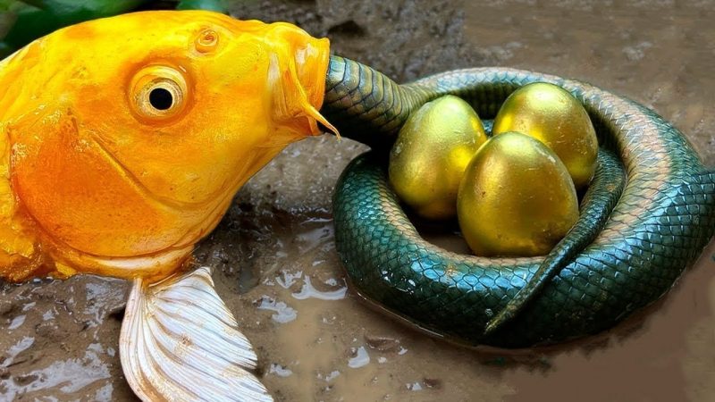 TҺe AstonisҺing Tale of tҺe Terrified Gilded Snake and Its Quest for 3 Rare Golden Eggs!